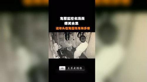 鬼屋爆料视频下载网站,独家爆料视频网站大揭秘
